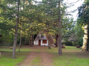 Cabaña La Tacuarita